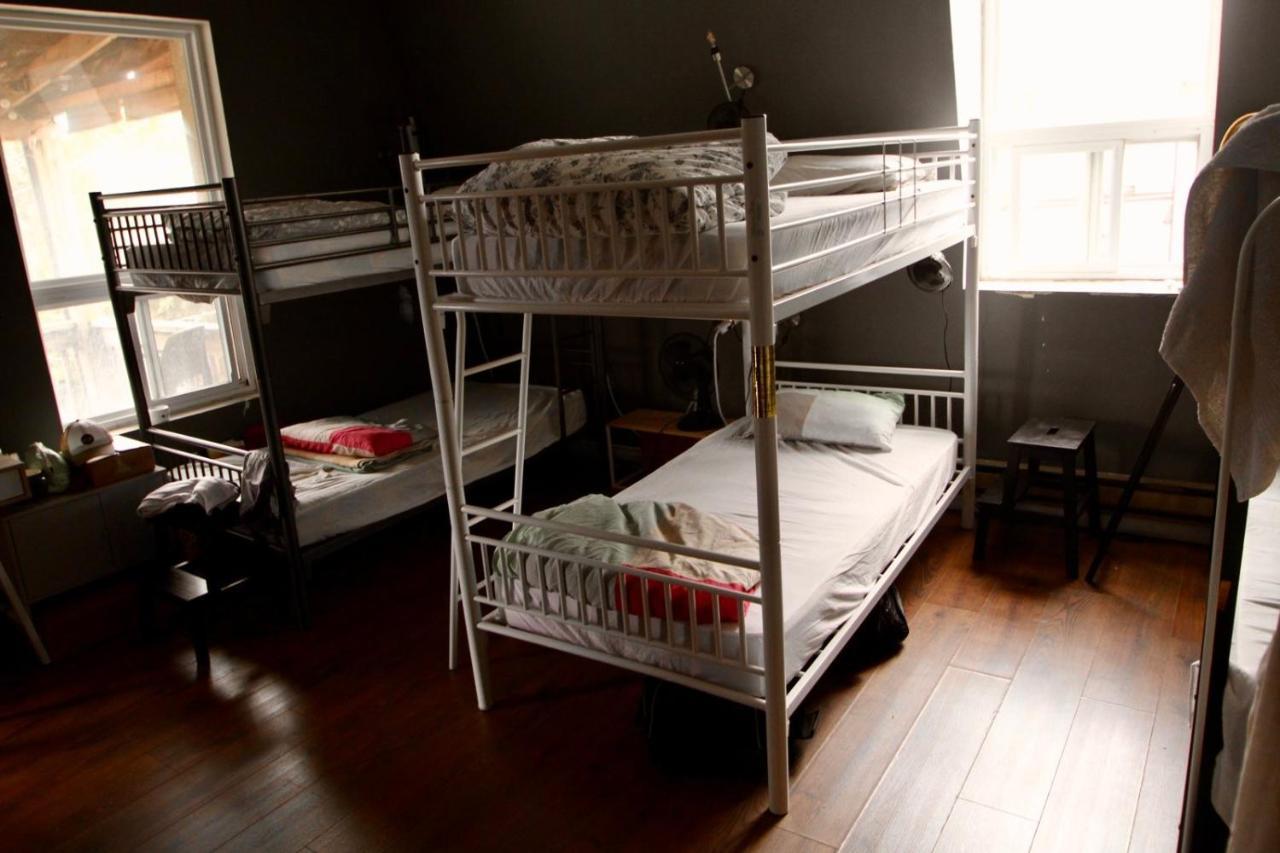 The Parkdale Hostellerie تورونتو المظهر الخارجي الصورة